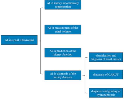A narrative review on the application of artificial intelligence in renal ultrasound